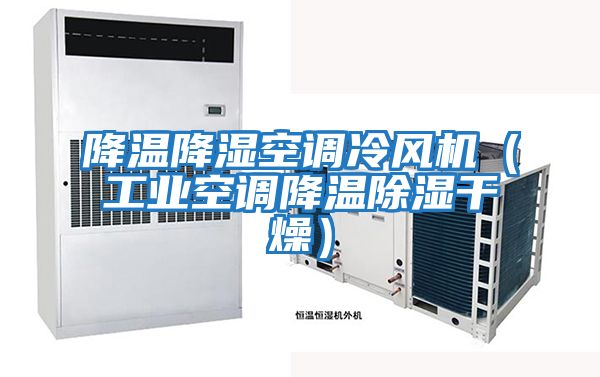 降溫降濕空調冷風機（工業空調降溫除濕干燥）