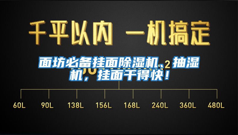 面坊必備掛面除濕機、抽濕機,掛面干得快!