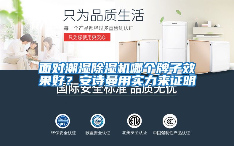 面對潮濕除濕機哪個牌子效果好?安詩曼用實力來證明