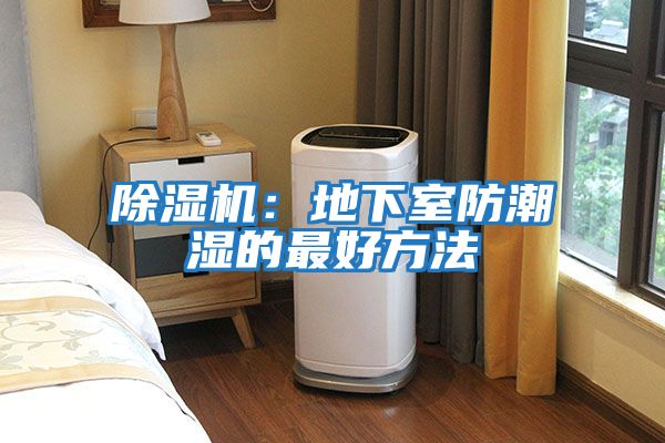 除濕機:地下室防潮濕的最好方法