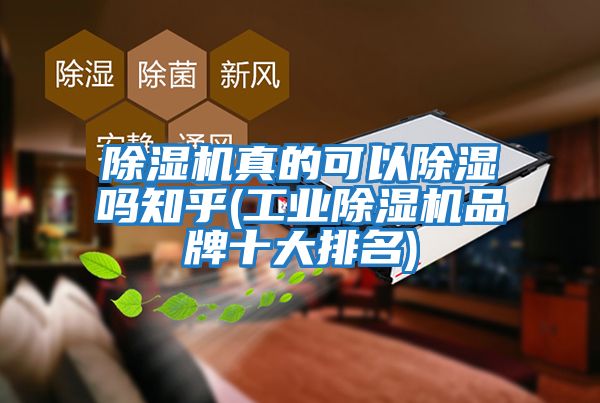 除濕機真的可以除濕嗎知乎(工業除濕機品牌十大排名)