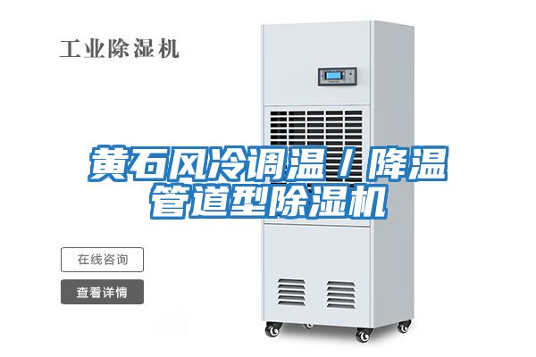 黃石風冷調溫／降溫管道型除濕機