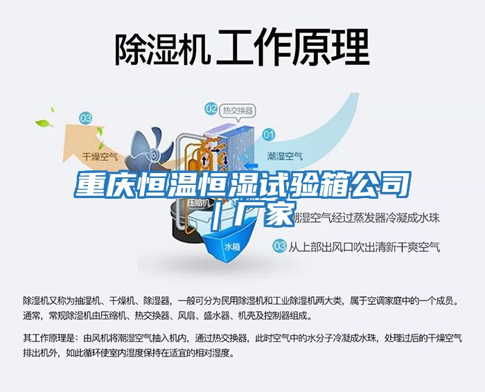 重慶恒溫恒濕試驗箱公司|廠家